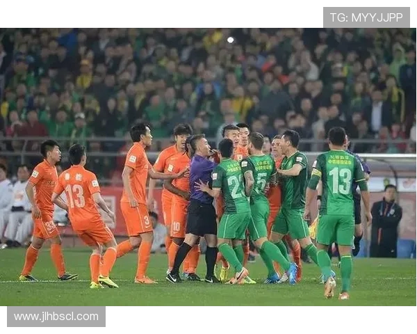 广州排球队灵活性引发热议球迷与专家观点大相径庭